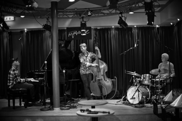 Alex Riel Trio